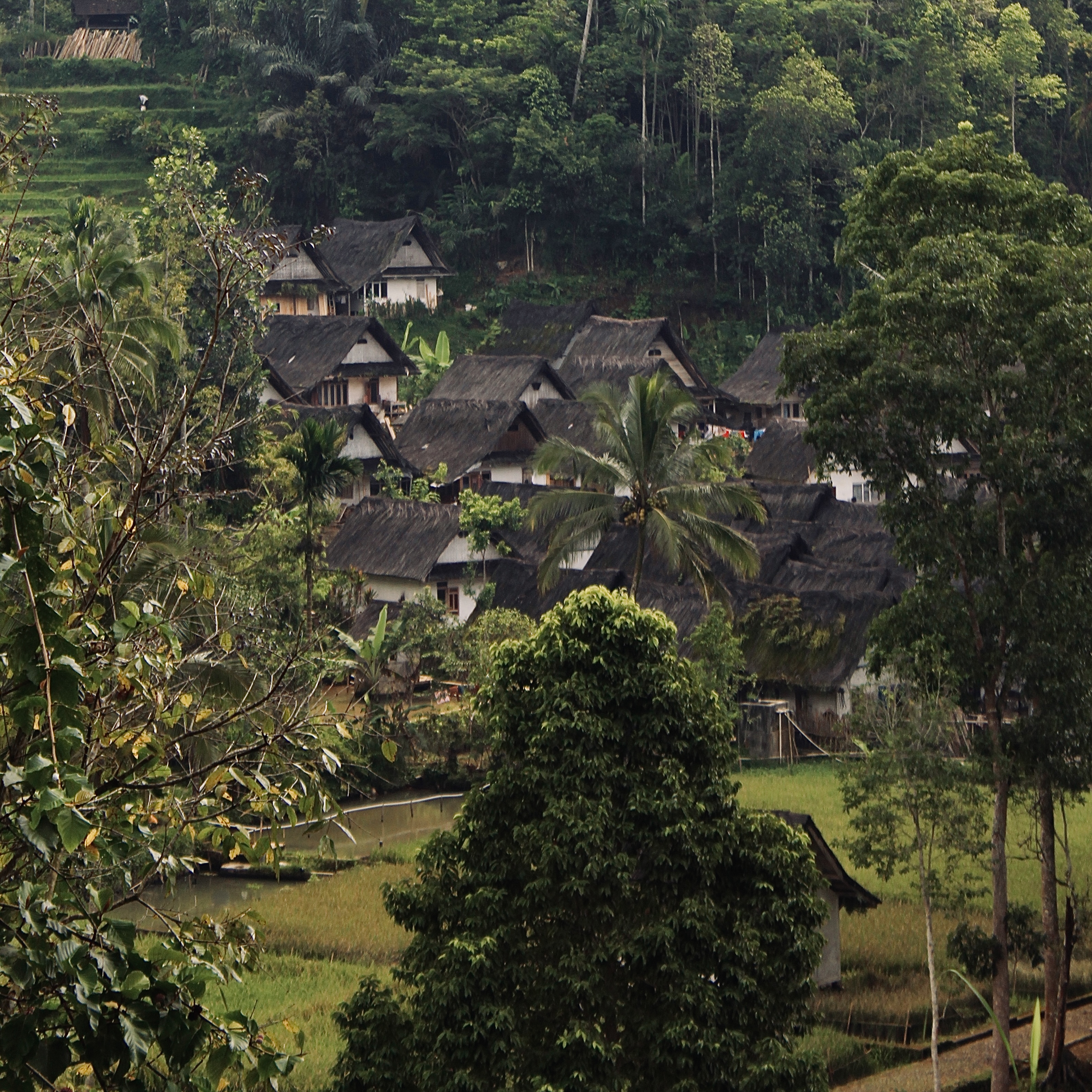 Pemandangan Kampung Naga dari ketinggian