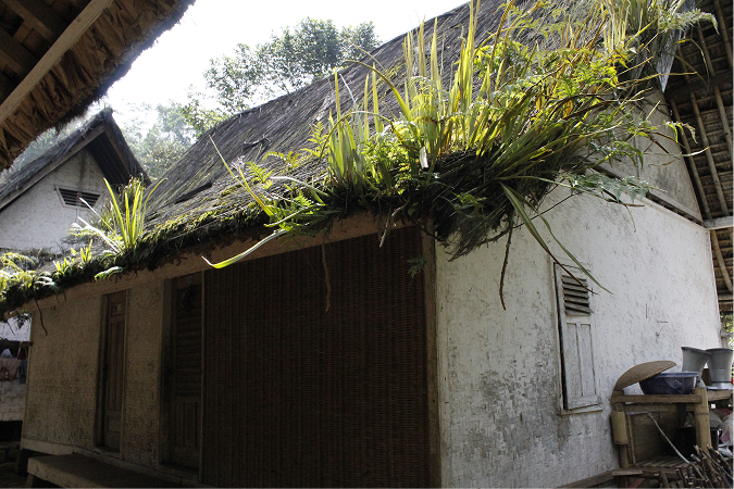 Atap Ijuk